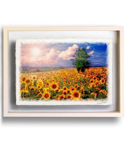 Amazon.co.jp: Natural Memories 玄関に飾ると運気が上がる絵画 和紙の